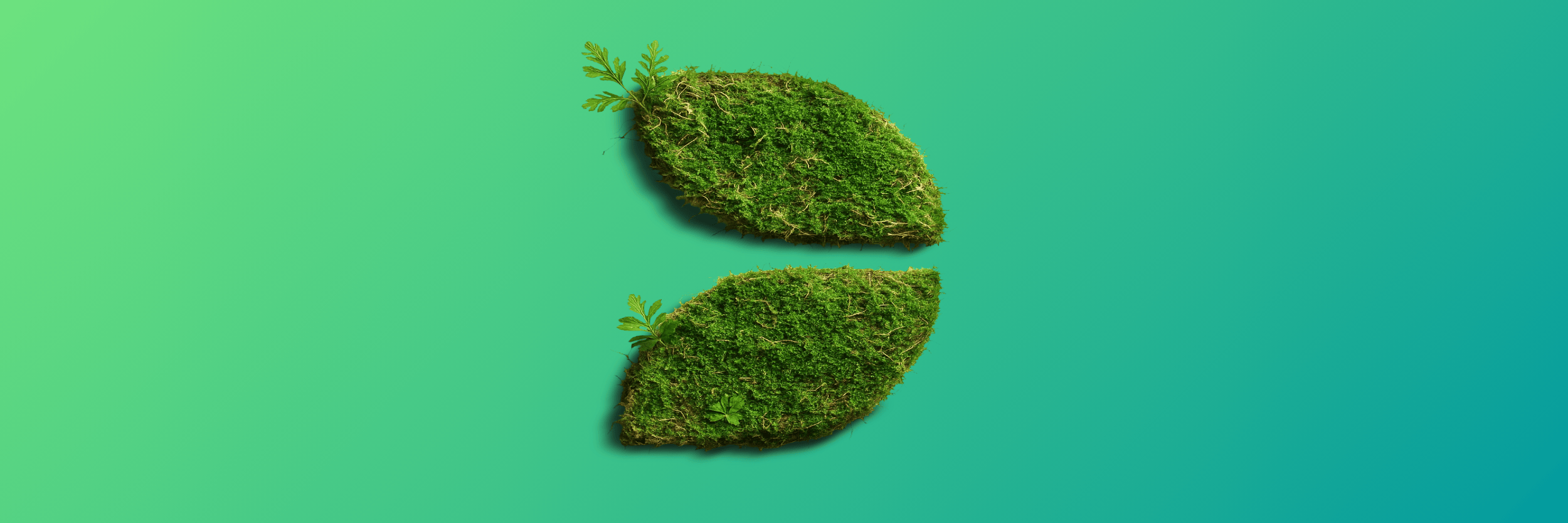 Utilize para ver mais