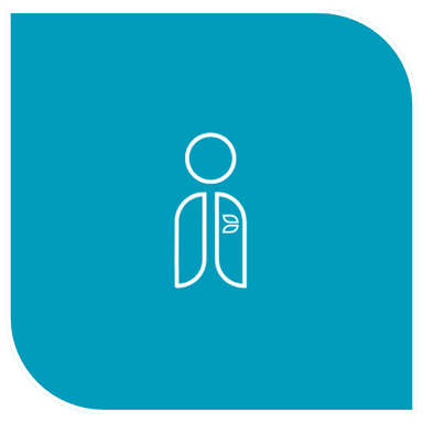 Utilize para ver mais