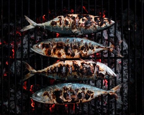 6 dicas para escolheres as melhores sardinhas este verão