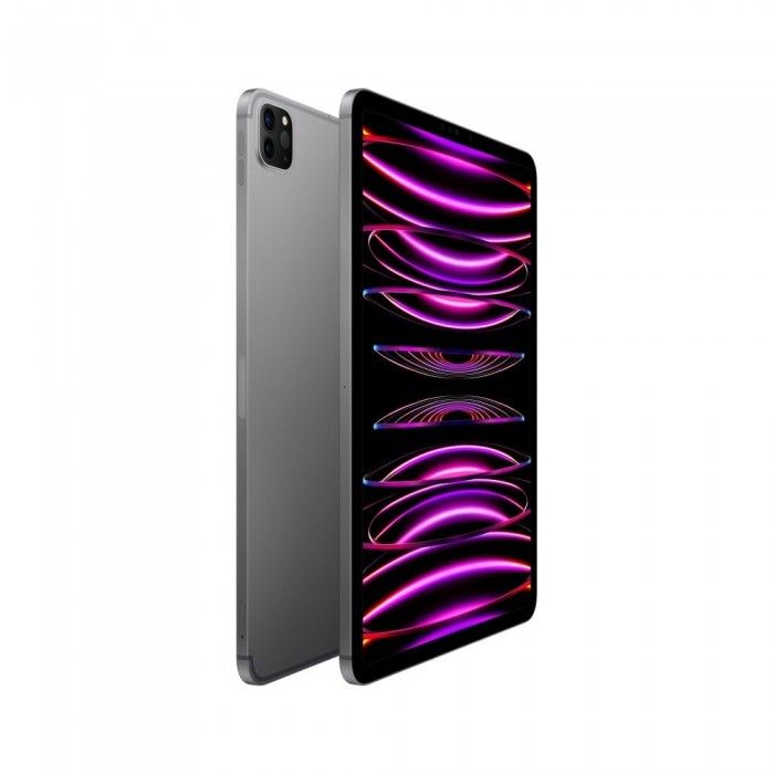 iPad Pro 11 M2 Wifi+Cell 256GB Cinzento