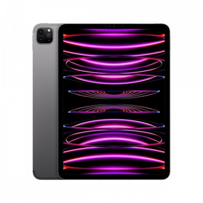 iPad Pro 11 M2 Wifi+Cell 512GB Cinzento