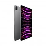 iPad Pro 11 M2 Wifi+Cell 512GB Cinzento