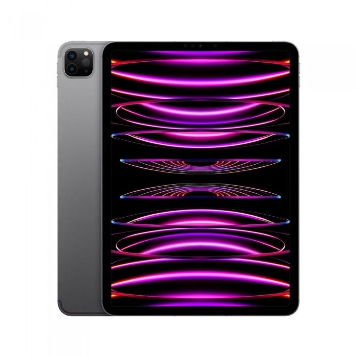 iPad Pro 11 M2 Wifi+Cell 512GB Cinzento