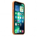 Capa/MagSafe iPhone 13 Pro Castanho dourado