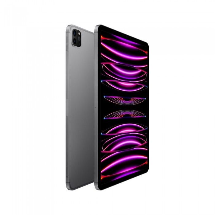 iPad Pro 11 M2 Wifi+Cell 1TB Cinzento