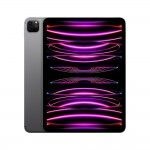 iPad Pro 11 M2 Wifi+Cell 1TB Cinzento