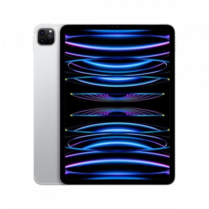 iPad Pro 11 M2 Wifi+Cell 2TB Prateado
