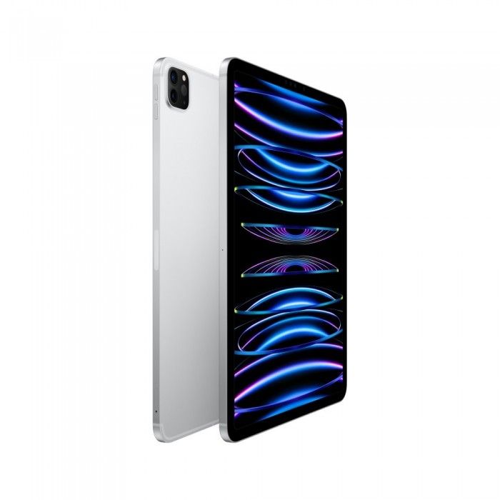 iPad Pro 11 M2 Wifi+Cell 2TB Prateado