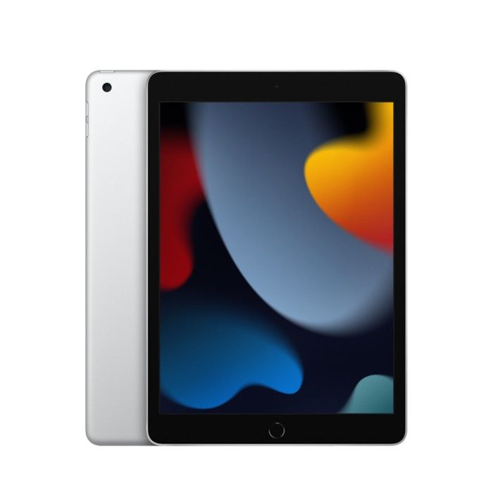 iPad 10.2 Wifi 256GB Prateado