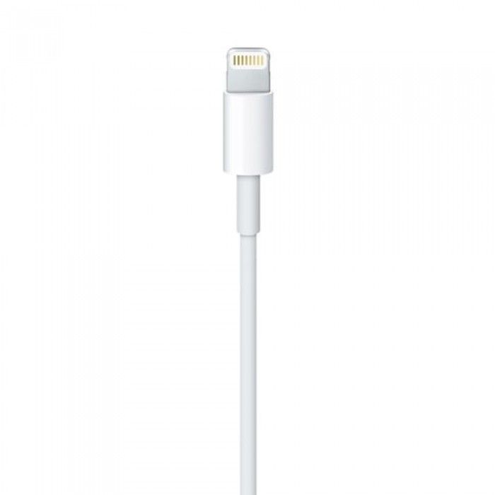 Lightning to USB Cable (2 m)