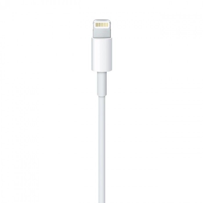 Lightning to USB Cable (2 m)