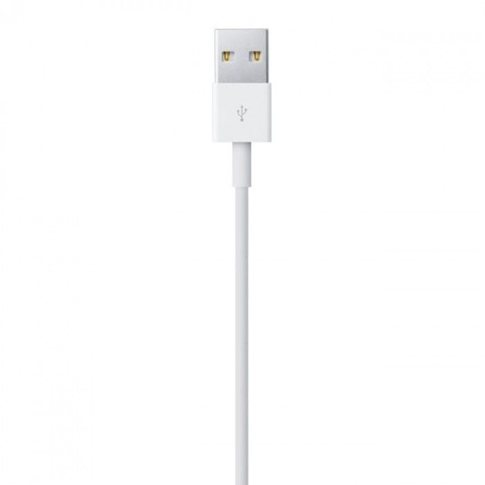 Lightning to USB Cable (2 m)