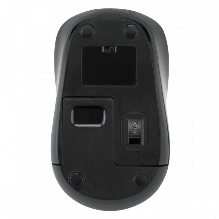 Rato Wireless Bluetrace