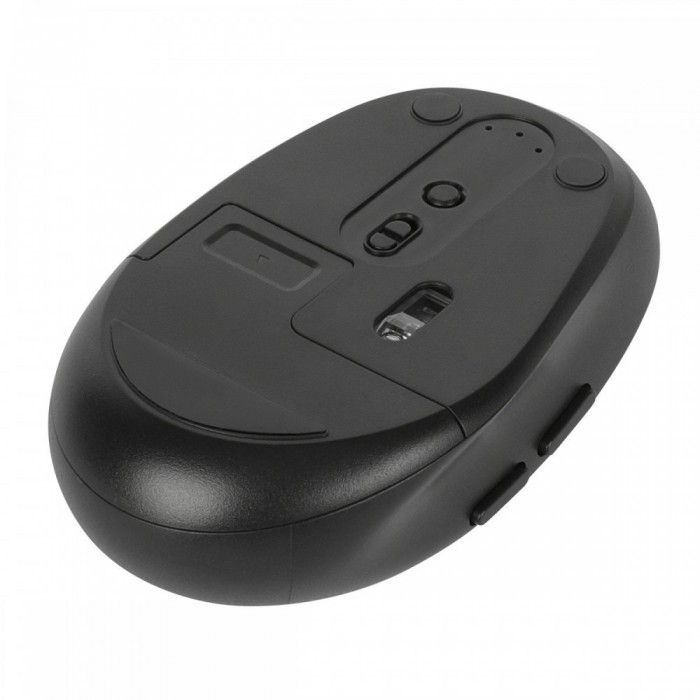 Targus AMB582GL rato Mo direita RF Wireless + Bluetooth tico 2400 DPI