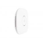 AP AC750 DUAL-BAND CEILING MOUNT