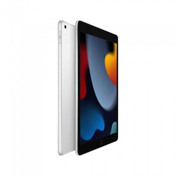 iPad 10.2 Wi-Fi 64Gb Prateado