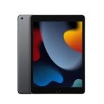 iPad 10.2 Wi-Fi+Cellular 256Gb Cinzento sideral