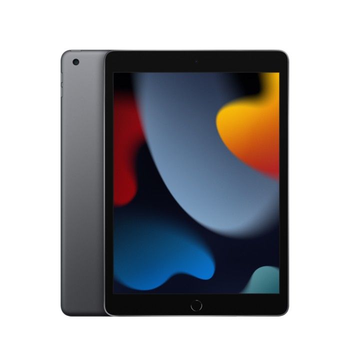 iPad 10.2 Wi-Fi+Cellular 256Gb Cinzento sideral