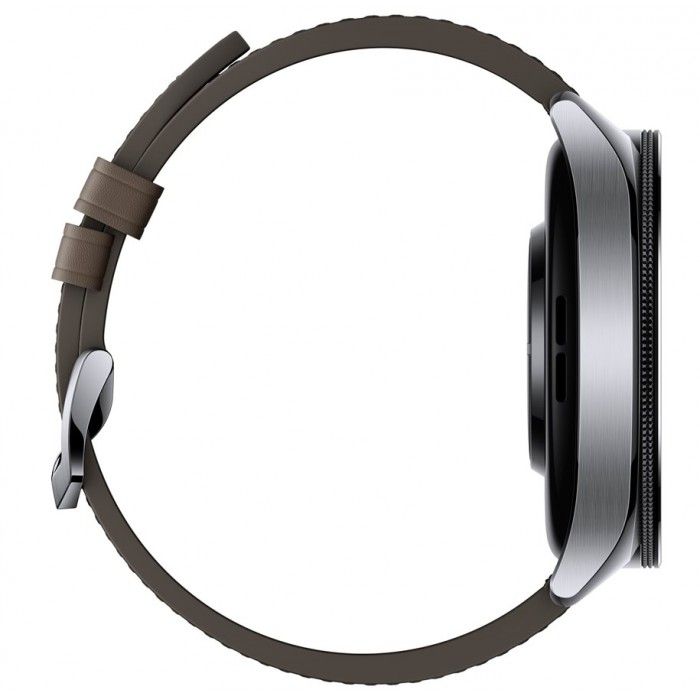 Smartwatch Watch 2 Pro Bt Silver Case & Brown Strap