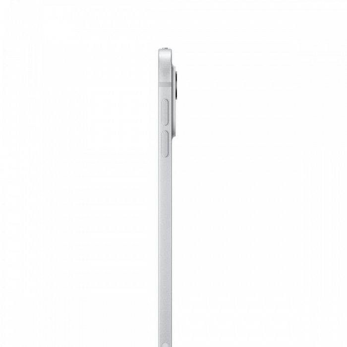 iPad Pro 11 M4 WiFi 256GB Prateado