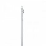 iPad Pro 11 M4 WiFi 256GB Prateado