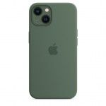 Capa Silicone iPhone 13 (Eucalipto)