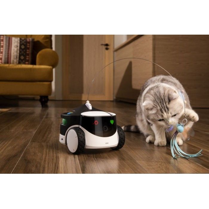 Robot de Companhia Enabot Rola Petpal 32GB