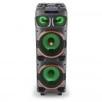 Coluna NGS 300W WILDDUB1
