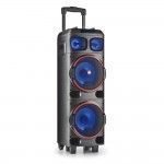 Coluna NGS 300W WILDDUB1
