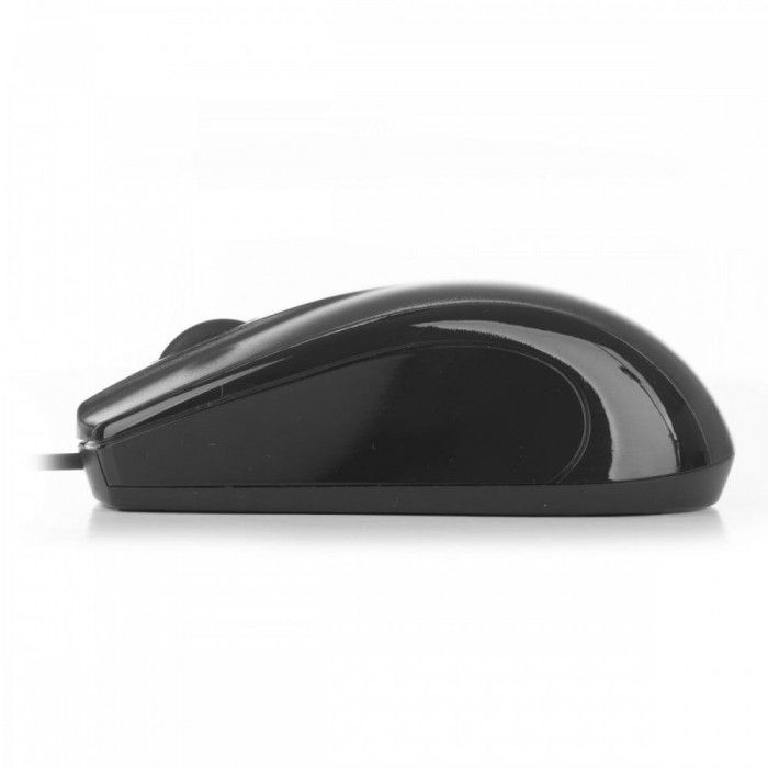 Rato tico c / fio 1000 DPI Scroll Regular Size