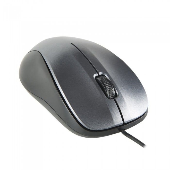 Rato tico WIRED GRAY