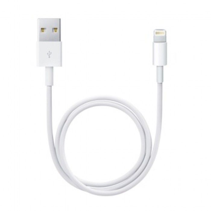 Lightning to Usb cable (0.5 m)