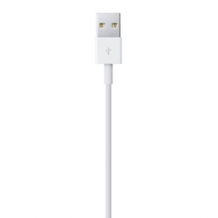 Lightning to Usb cable (0.5 m)