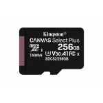 SD 256GB MICRO SDXC 100R A1 C10