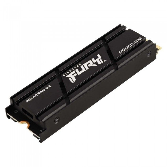 SSD M.2 500G RENEGADE PCIe 4.0 NVMe W/ Heatsink