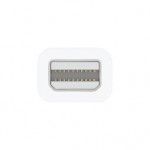 Thunderbolt to FireWire Adapter