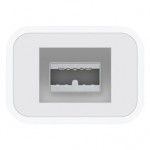 Thunderbolt to FireWire Adapter