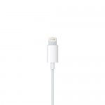 EarPods with Lightning Connector MMTN2ZM/A