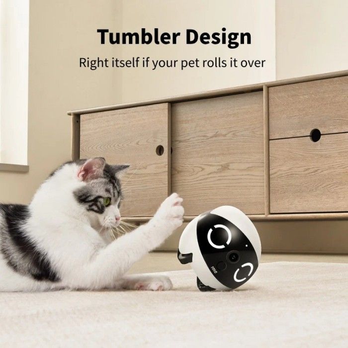Robot de Companhia Enabot Rola Mini 32GB