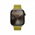 42mm Chartreuse Modern Buckle - S