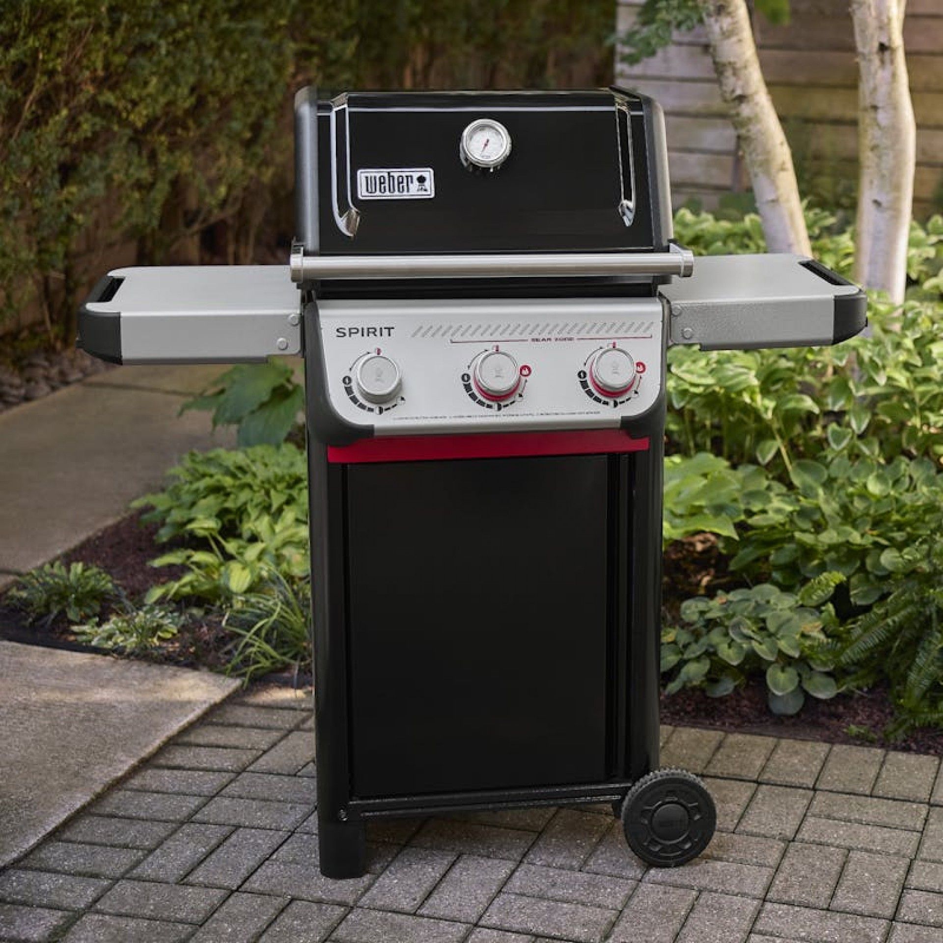 Barbecue Weber Spirit E-325