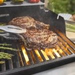 Barbacoa Weber Spirit E-335