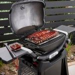 Weber Q 2800N+ Barbecue with Premium Cart