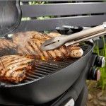 Weber Q 2800N+ Barbecue with Premium Cart