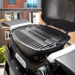 Barbacoa Weber Q 1200N con soporte