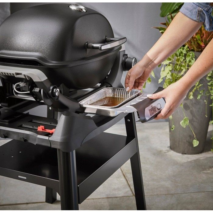 Barbacoa Weber Q 1200N con soporte