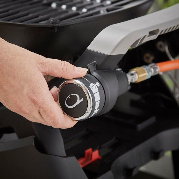 Barbacoa Weber Q 1200N con soporte