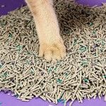 Areia Para Gato Petkit Aglomerante Bio Mixed (7L)
