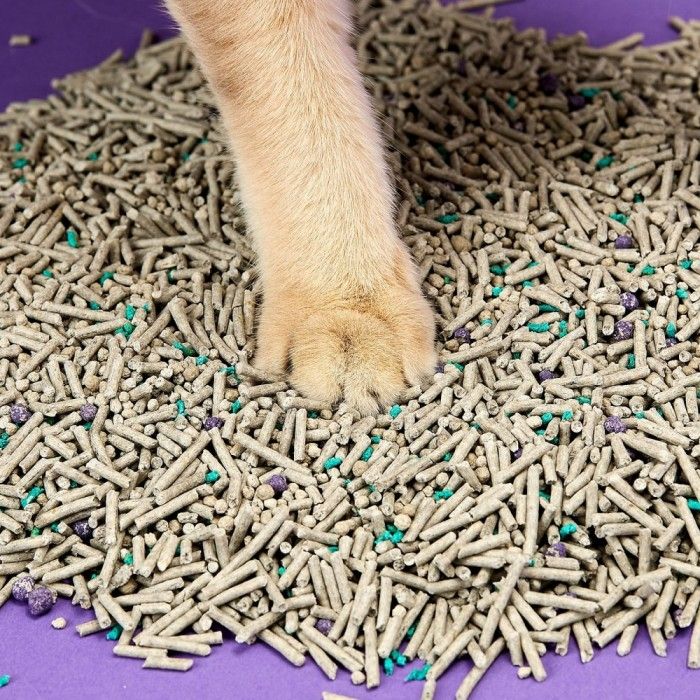 Areia Para Gato Petkit Aglomerante Bio Mixed (7L)