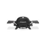 Barbacoa Weber Q 1200N